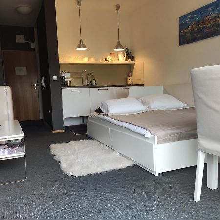 Studio Apartment "Iris" Ptuj Ngoại thất bức ảnh
