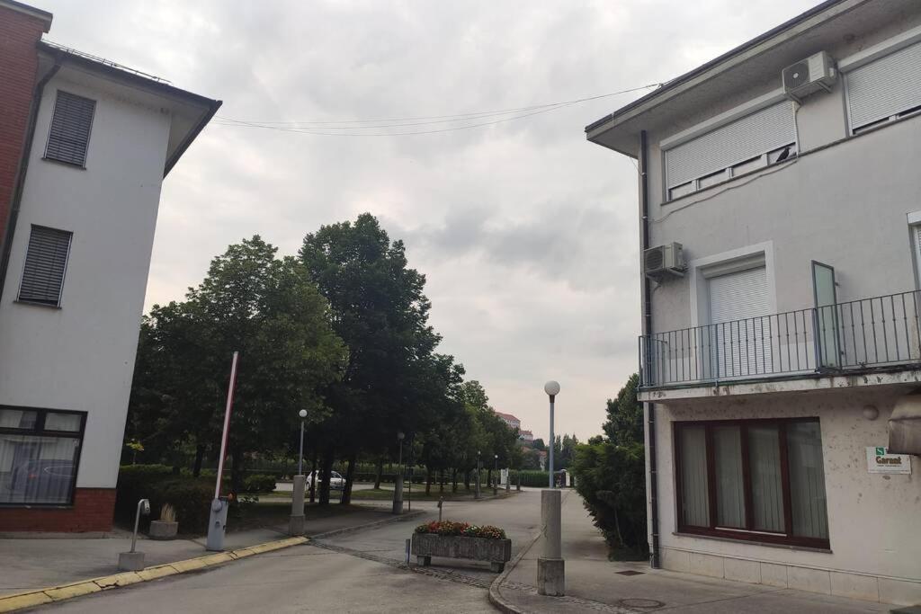 Studio Apartment "Iris" Ptuj Ngoại thất bức ảnh